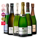 Pack of 6 Grower Champagnes 4.5L